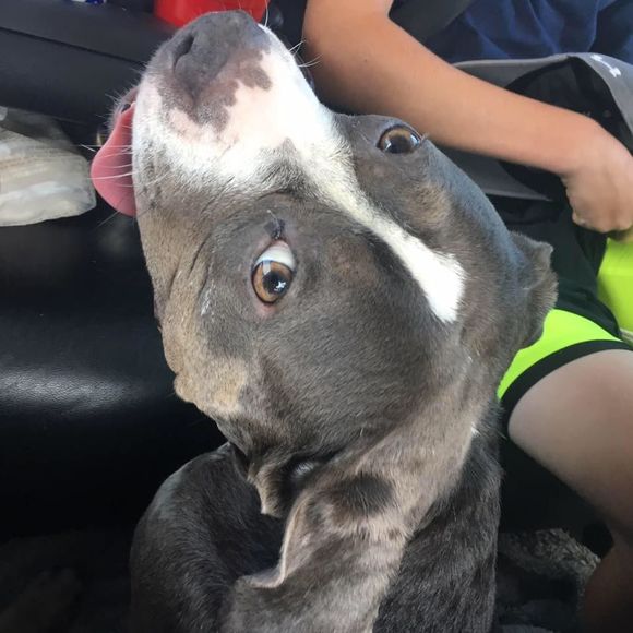 Meet your Posher, Joelle - Picture 1 of 1